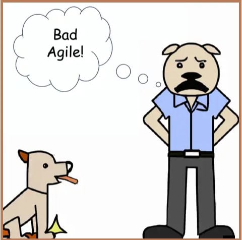 Agile, bad dog and owner